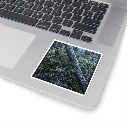 Moss Close Up Dark Texture Sticker | Luxurious Dark Japandi Art