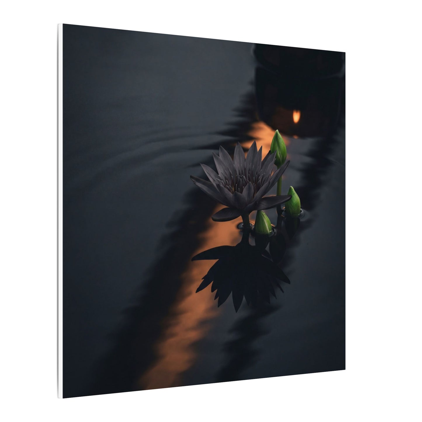 Seijaku Lotus Flower Canvas Art - Dark Japandi Shadow Zen