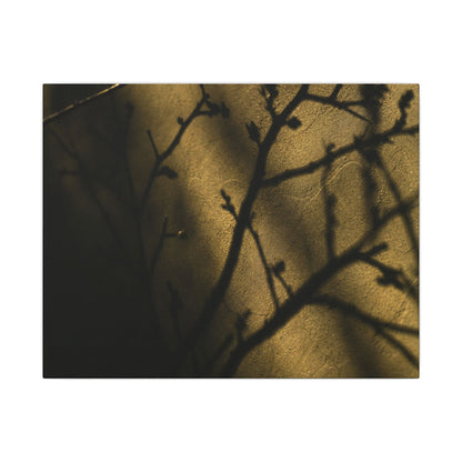 Golden Hour Shadow Play Canvas Art - Dark Japandi Seijaku