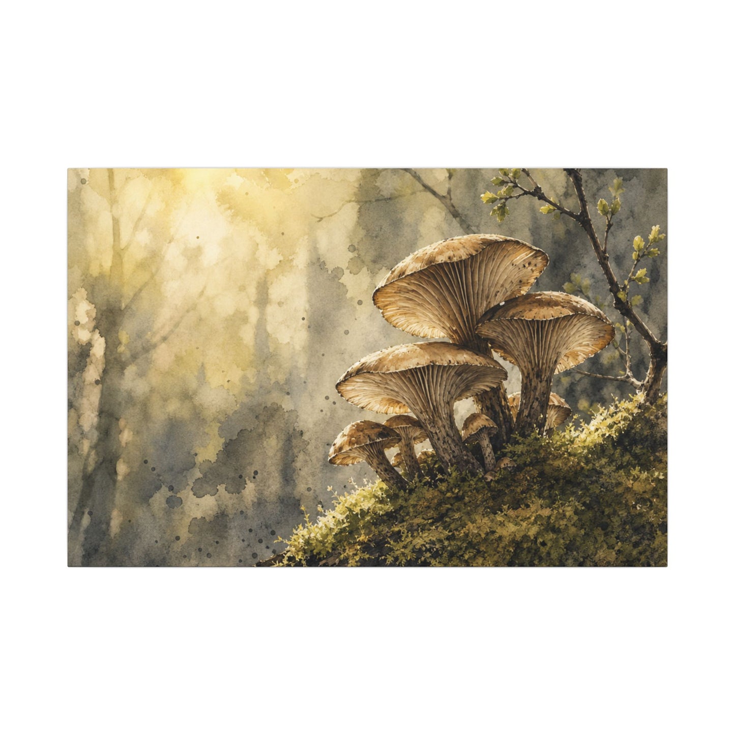 Wild Mushrooms Canvas Art | Spring Japandi Watercolor Art