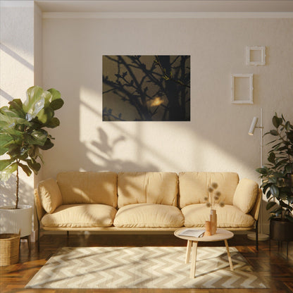 Bold Shadow Play Canvas Art - Moody Minimal Dark Japandi