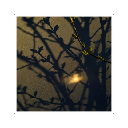 Dark Japandi Shadow Play in Golden Hour | Moody Minimal Sticker Art Print