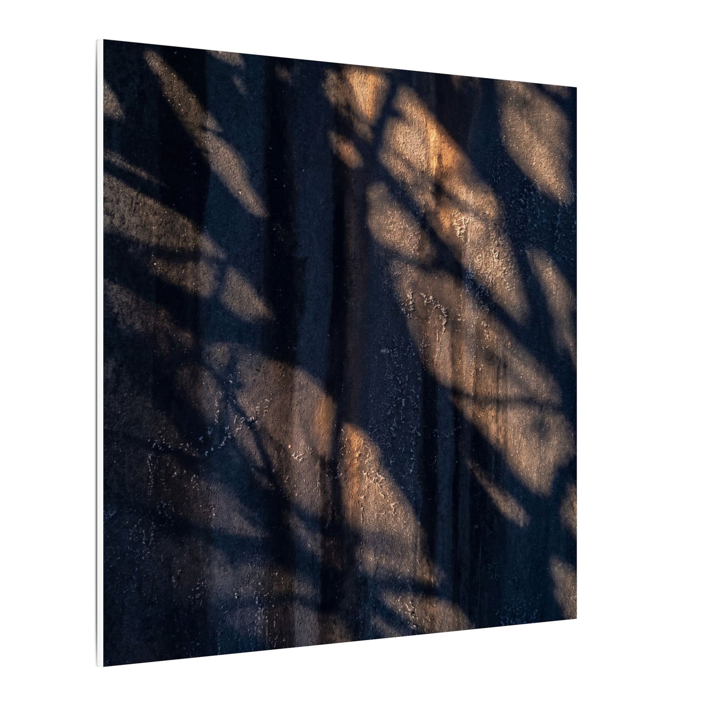 Dark Japandi Shadow Play in Golden Hour | Shadow Zen Canvas Art