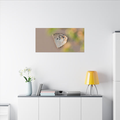 Ceramic Bowl Canvas Art | Spring Japandi Japanese Pattern Art