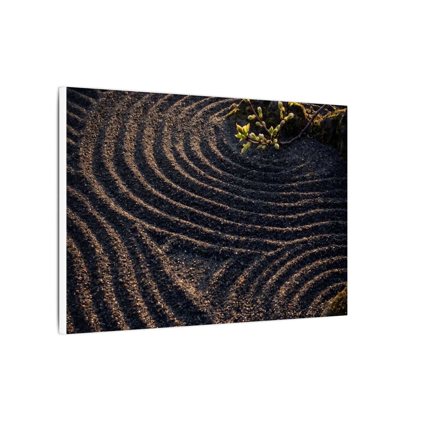 Spring Rock Garden Shadow Zen Canvas Art | Atmospheric Decor
