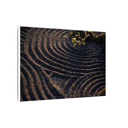 Spring Rock Garden Shadow Zen Canvas Art | Atmospheric Decor