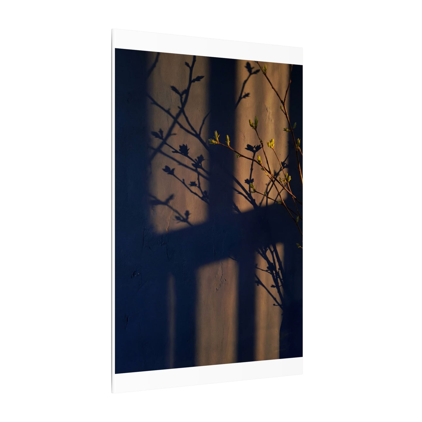 Shadow Play Canvas Art | Spring Dark Japandi Shadow Zen Art