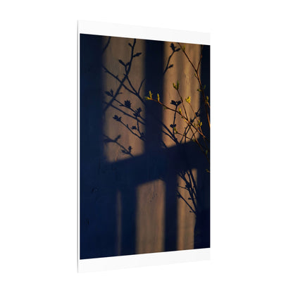 Shadow Play Canvas Art | Spring Dark Japandi Shadow Zen Art
