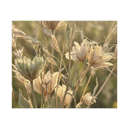 Summer Dried Flowers Minimal Line Canvas Art | Cozy Decor
