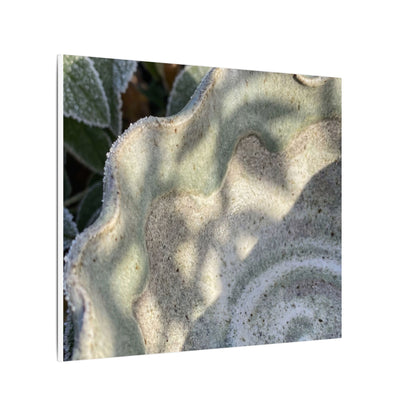 Dappled Ceramic Bowl Canvas Art - Japandi Seijaku