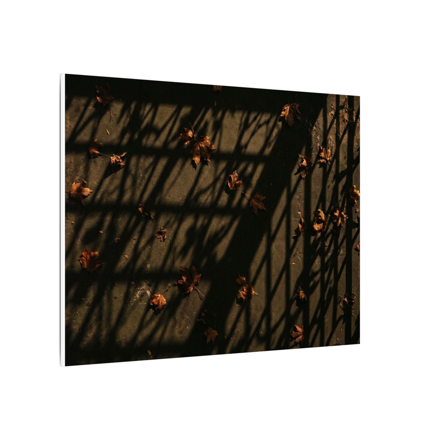 Dark Japandi Shadow Play in Golden Hour | Moody Minimal Canvas Art