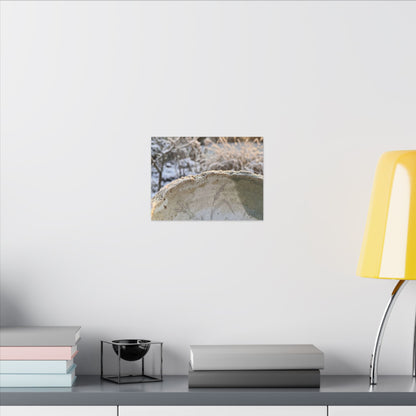 Ceramic Bowl Canvas Art | Winter Japandi Minimal Line Art