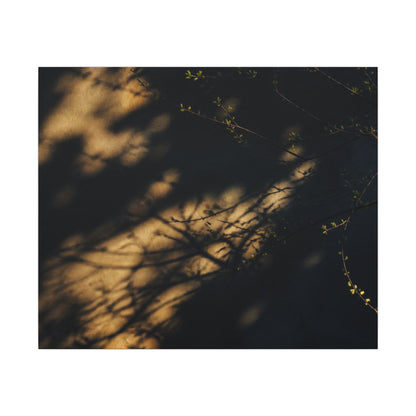 Moody Shadow Play Canvas Art - Moody Minimal Dark Japandi