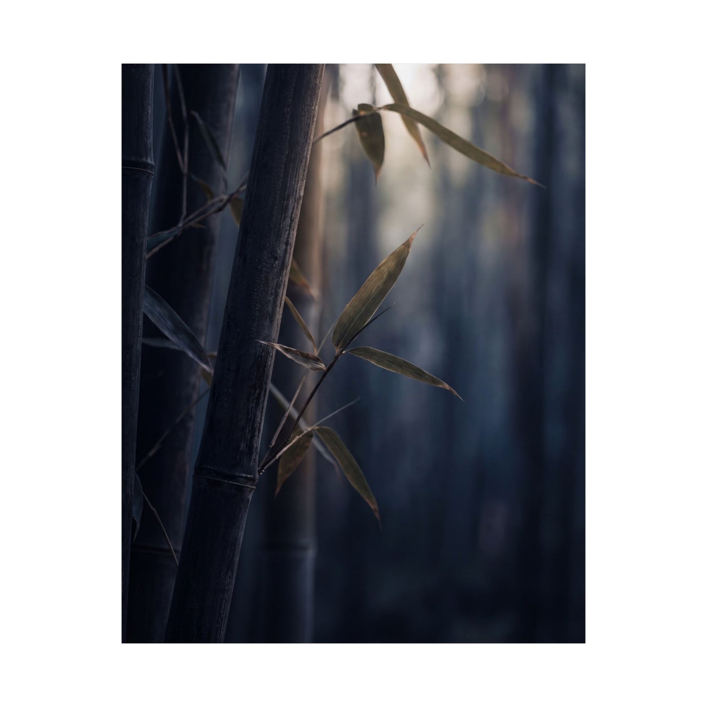 Dark Japandi Bamboo Grove in Dawn | Moody Minimal Wall Art Print