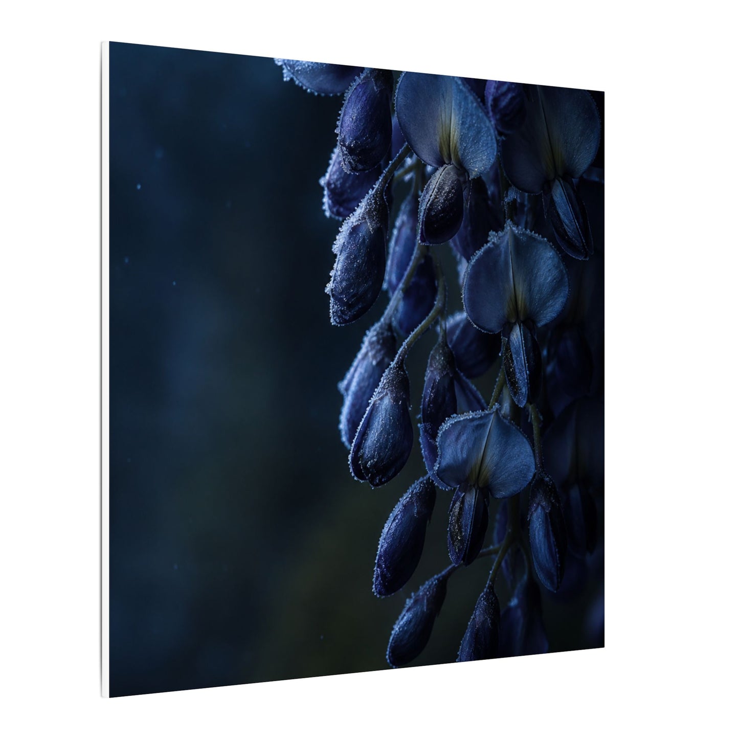 Winter Wisteria Shadow Zen Canvas Art | Atmospheric Decor