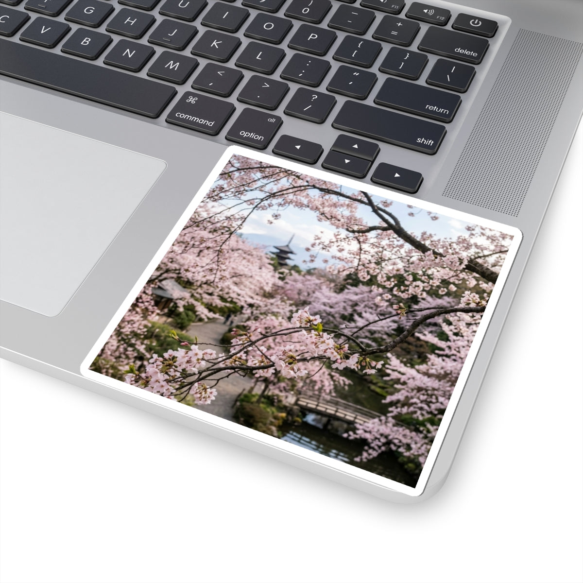 Winter Cherry Blossom Moody Minimal Sticker | Bold Decor Art Print
