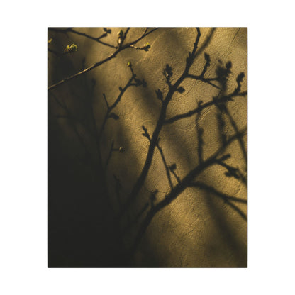 Golden Hour Shadow Play Canvas Art - Dark Japandi Seijaku