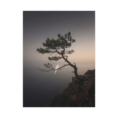 Dawn Pine Tree Canvas Art - Dark Japandi Datsuzoku