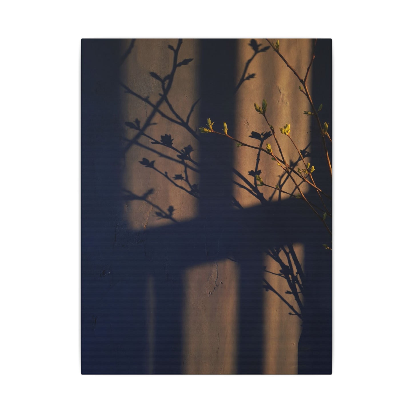 Shadow Play Canvas Art | Spring Dark Japandi Shadow Zen Art