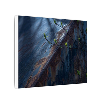 Rust Patina Canvas Art | Spring Dark Japandi Shadow Zen Art Art Print