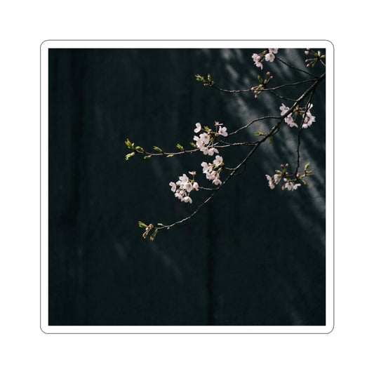 Cherry Blossom Moody Minimal Sticker | Bold Dark Japandi Art Art Print