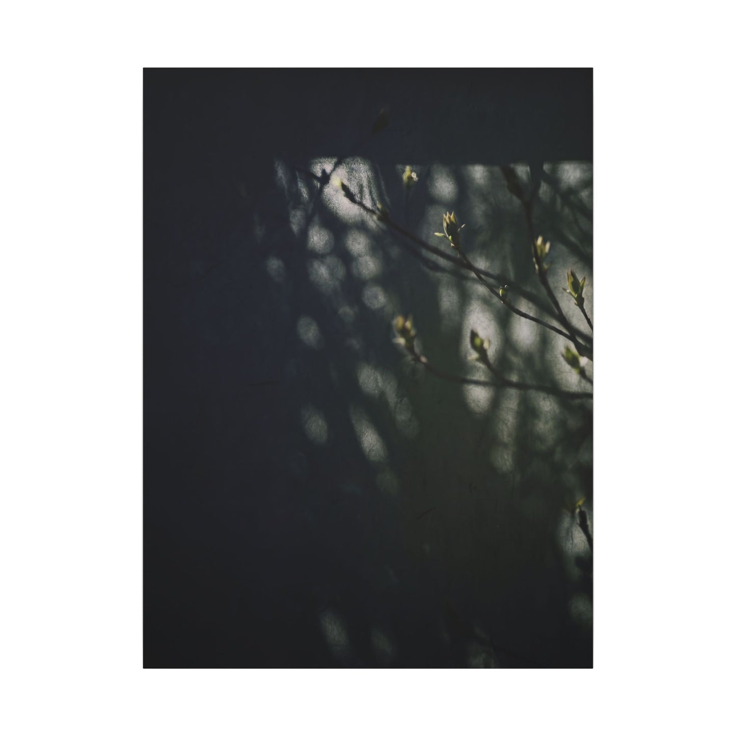 Dark Japandi Shoji Screen in Dappled | Moody Minimal Canvas Art