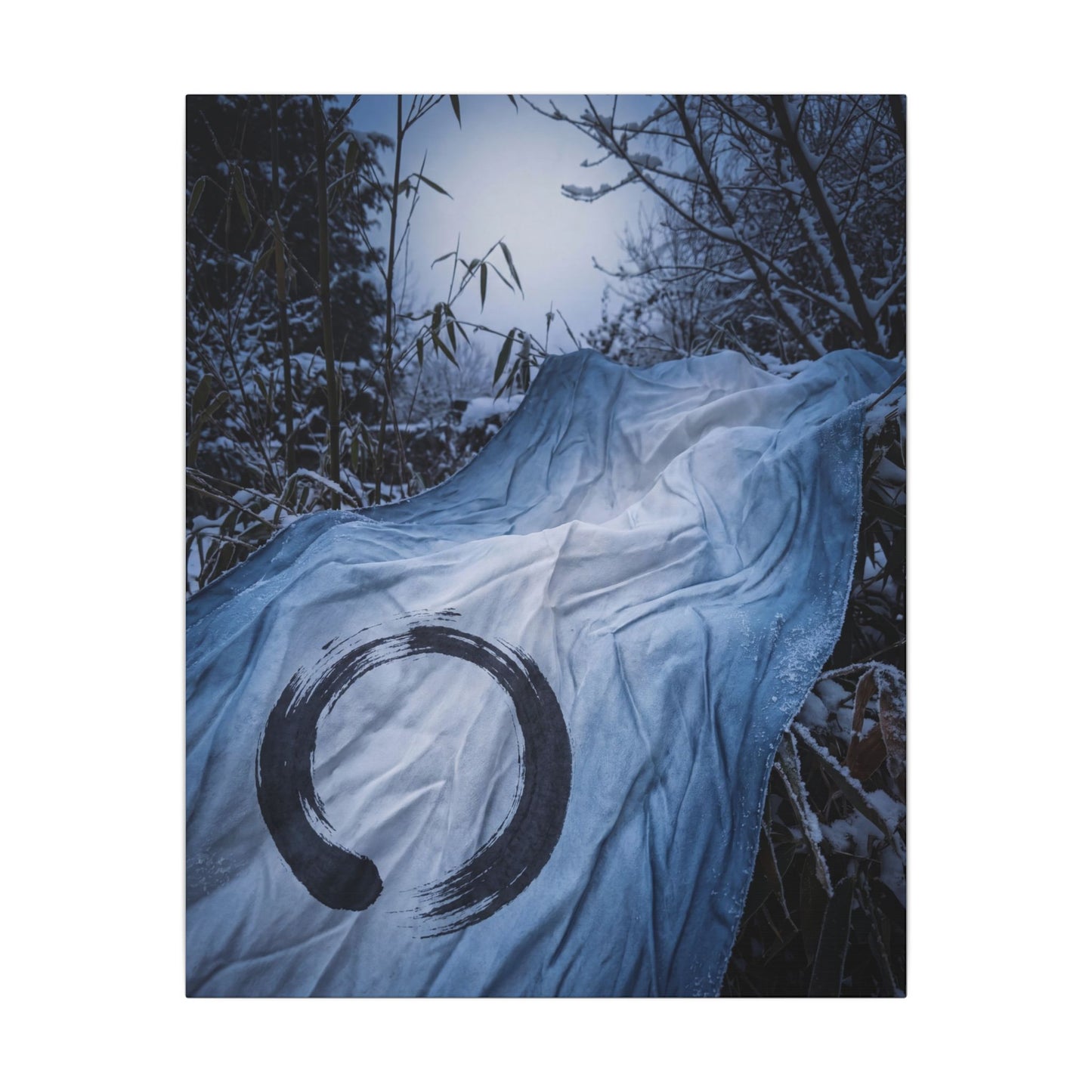 Moonlight Silk Drape Canvas Art - Zen Datsuzoku