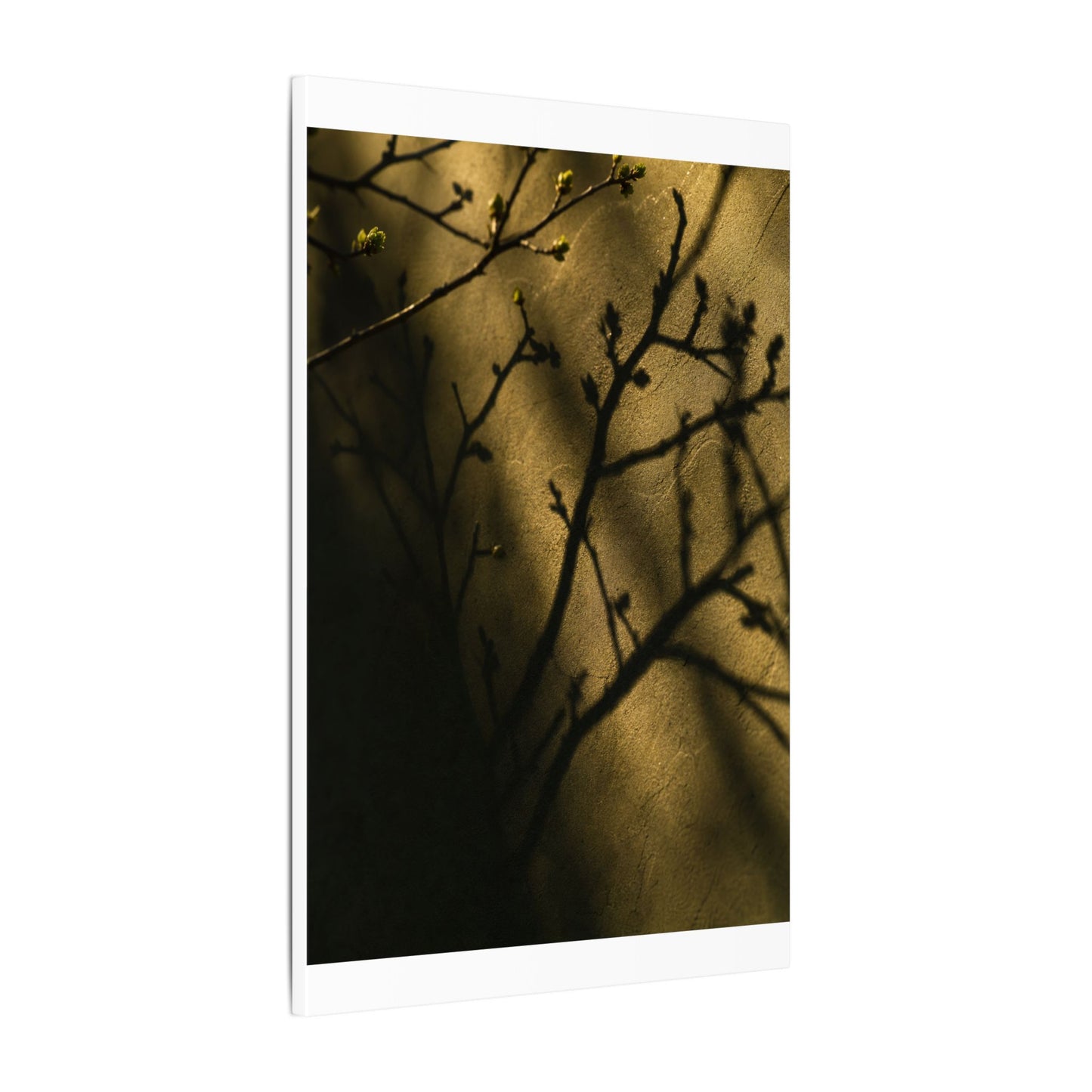 Golden Hour Shadow Play Canvas Art - Dark Japandi Seijaku