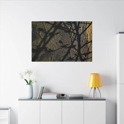Kanso Shadow Play Canvas Art - Dark Japandi Dark Texture