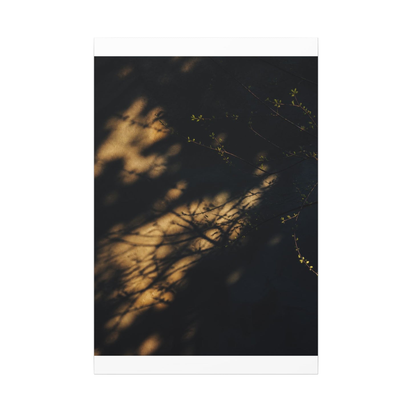 Moody Shadow Play Canvas Art - Moody Minimal Dark Japandi
