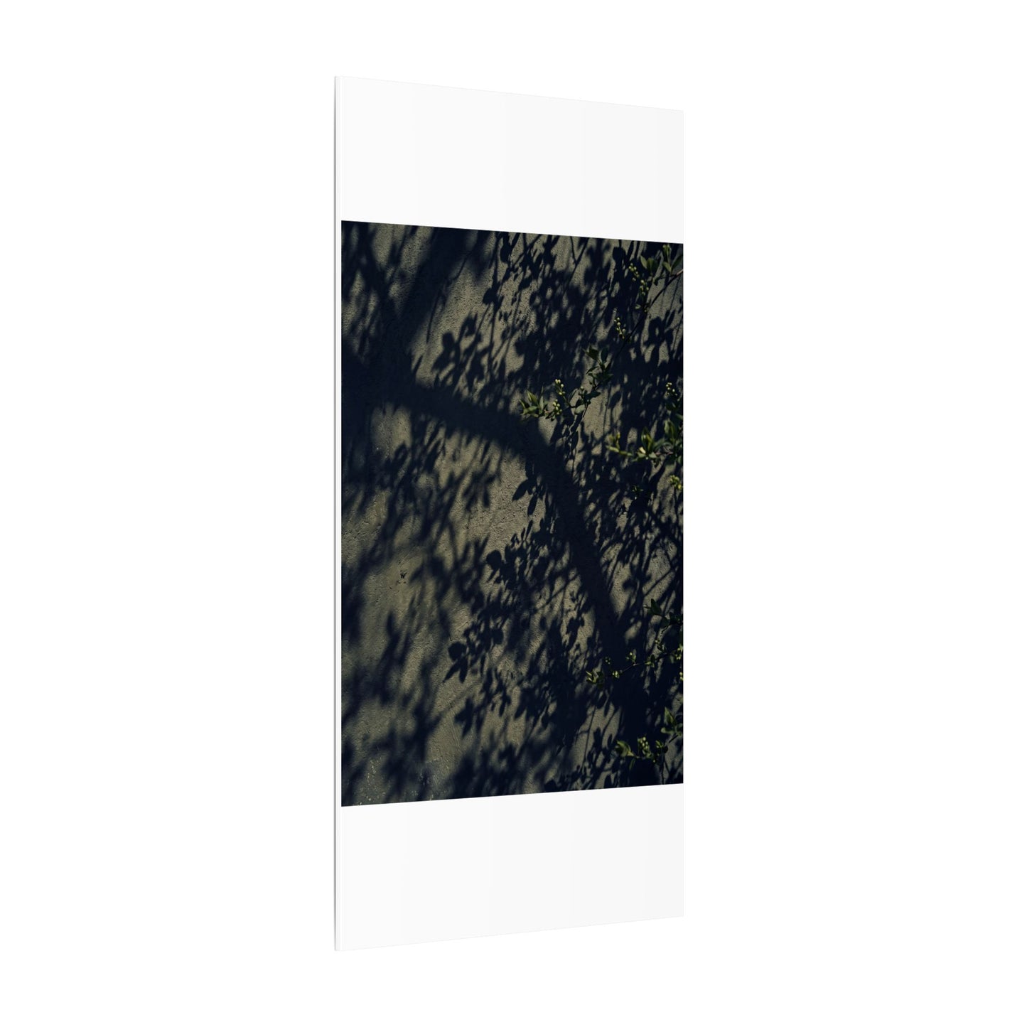 Atmospheric Shadow Play Canvas Art - Moody Minimal Dark Japandi