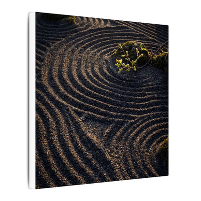 Spring Rock Garden Shadow Zen Canvas Art | Atmospheric Decor
