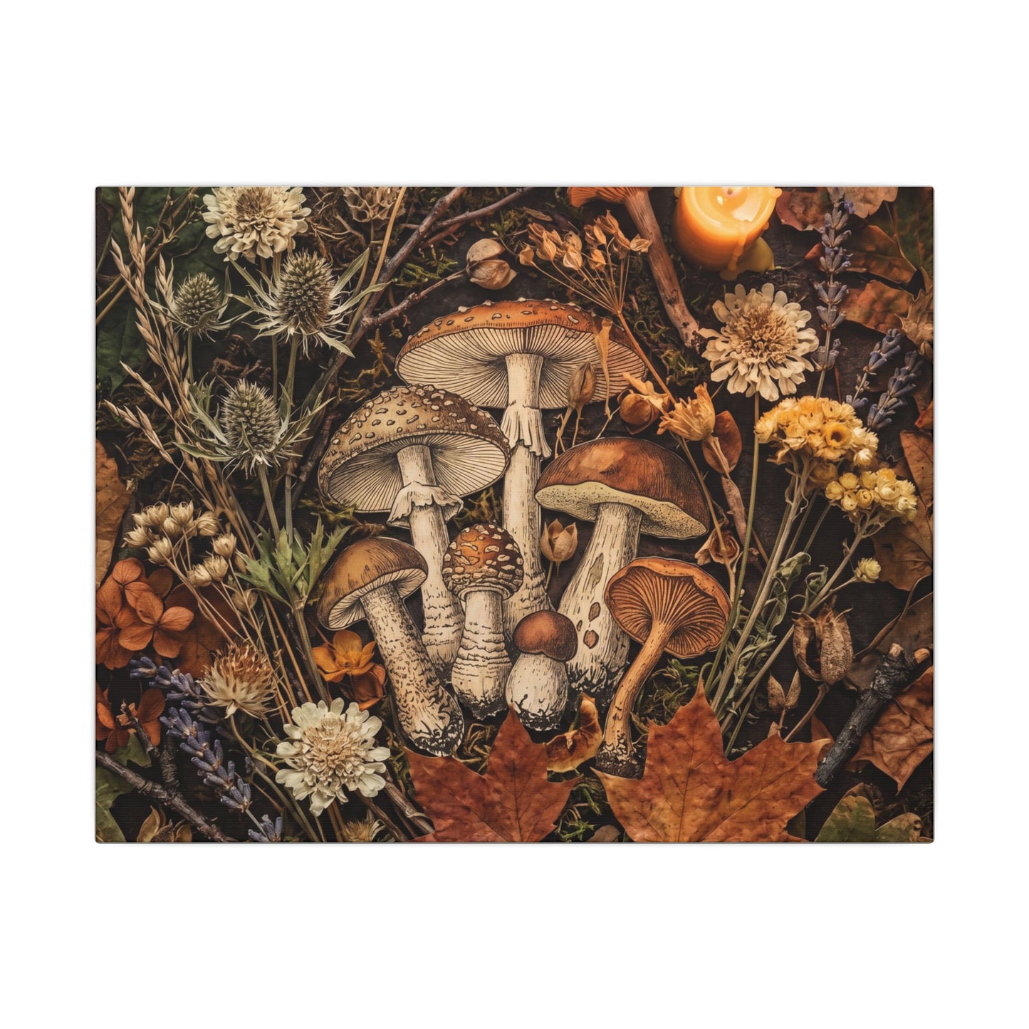 Autumn Dried Flowers Mushroom Illustration Canvas Art | Earthy Decor