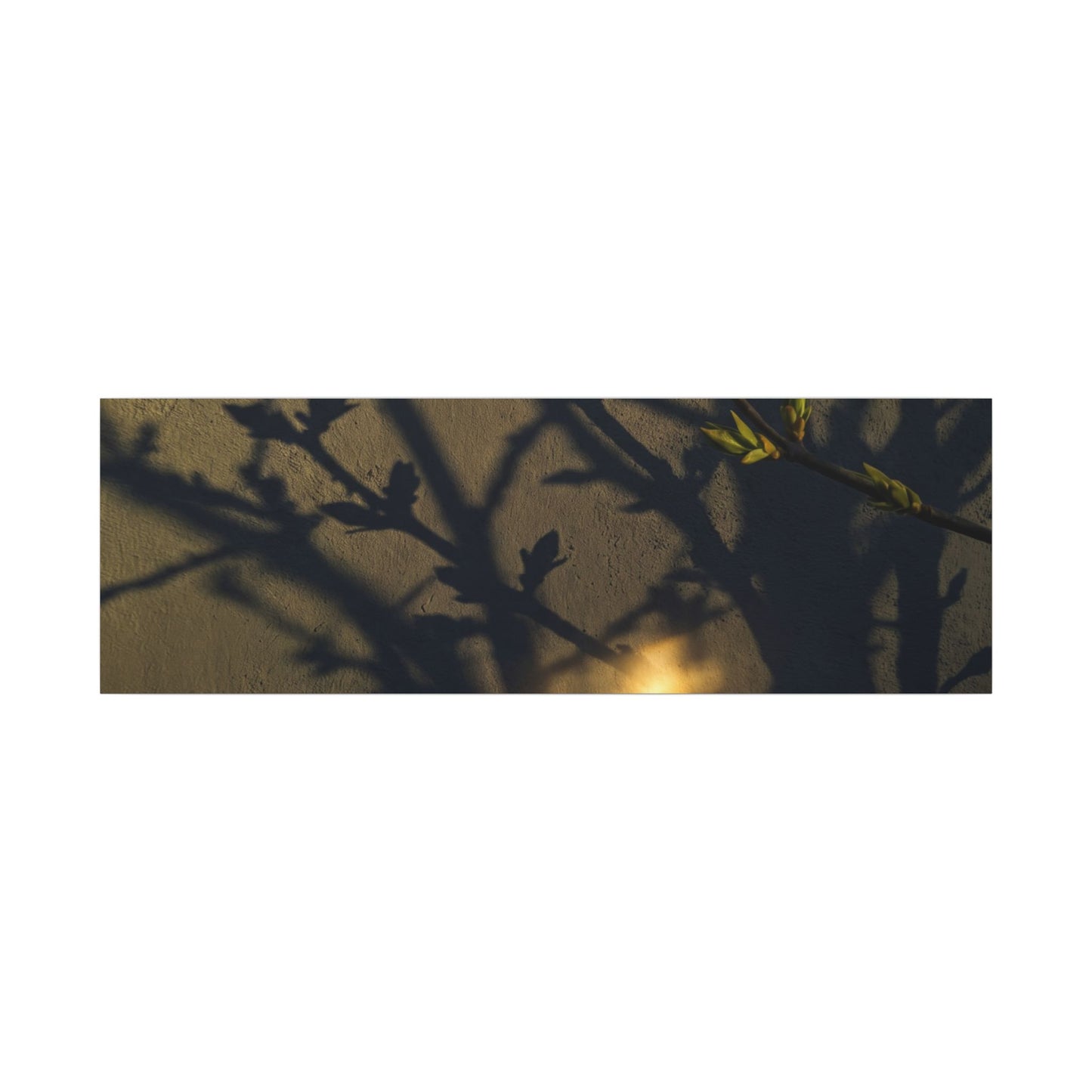 Bold Shadow Play Canvas Art - Moody Minimal Dark Japandi