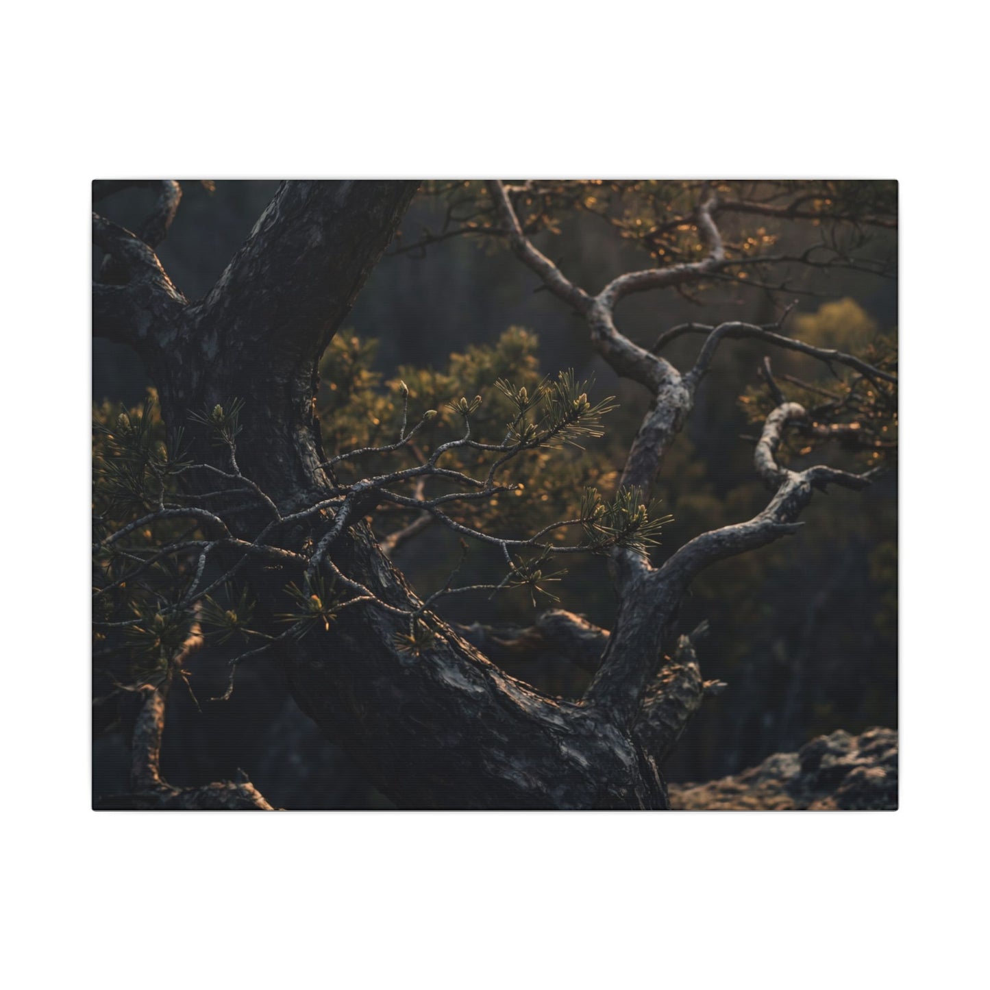 Moody Pine Tree Canvas Art - Moody Minimal Dark Japandi Art Print