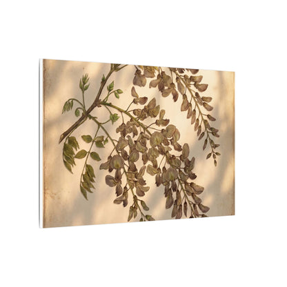 Spring Wisteria Herbarium Canvas Art | Earthy Decor