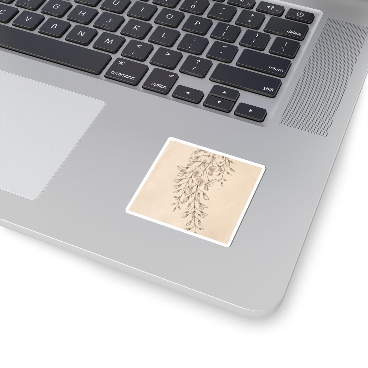 Wisteria Minimal Line Sticker | Earthy Japandi Art