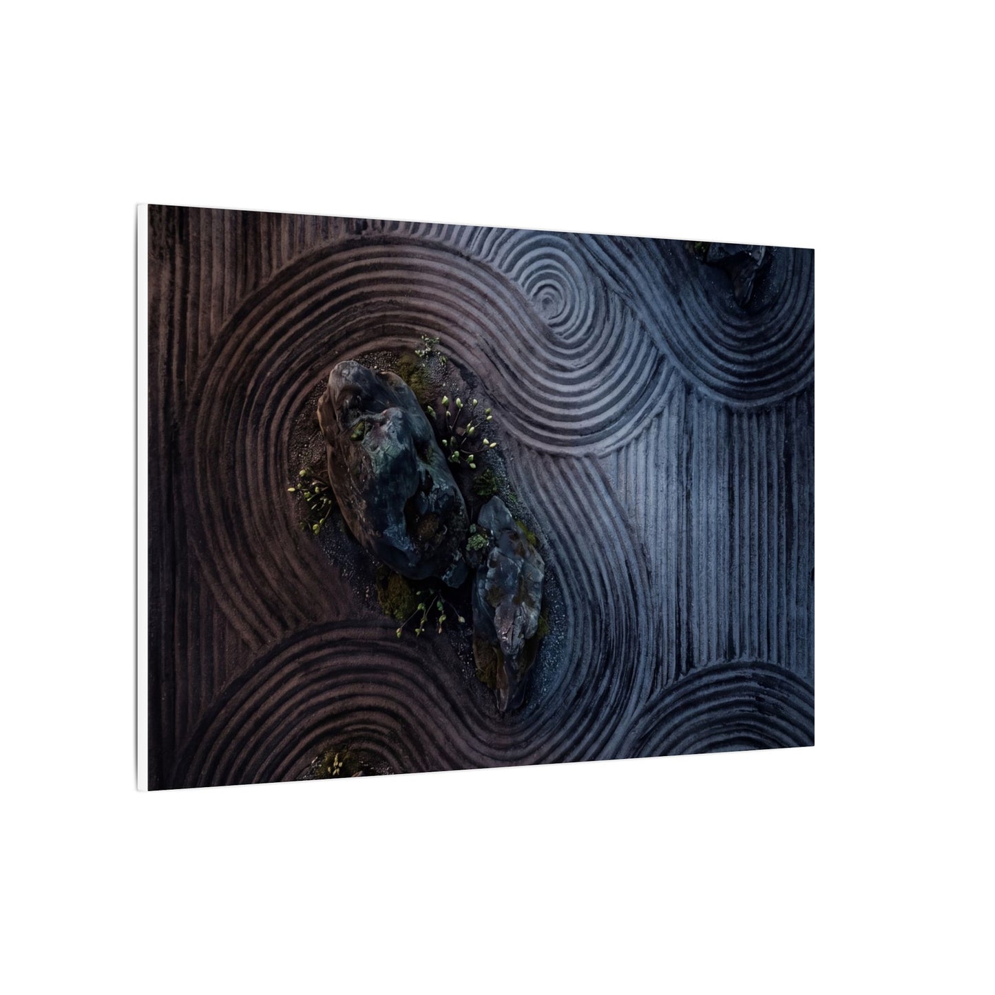 Spring Rock Garden Charcoal Ink Canvas Art | Bold Decor