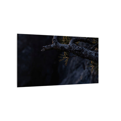 Pine Tree Moody Minimal Canvas Art | Sophisticated Dark Japandi Art
