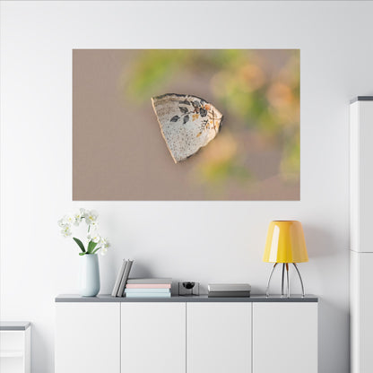 Ceramic Bowl Canvas Art | Spring Japandi Japanese Pattern Art