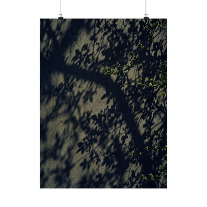Shadow Play Moody Minimal Wall Art Print | Atmospheric Dark Japandi Art