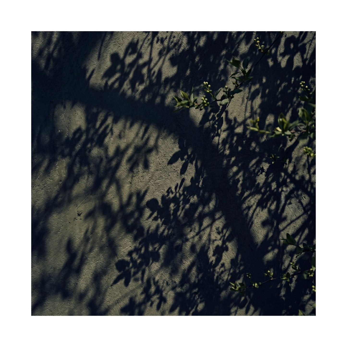 Shadow Play Moody Minimal Wall Art Print | Atmospheric Dark Japandi Art