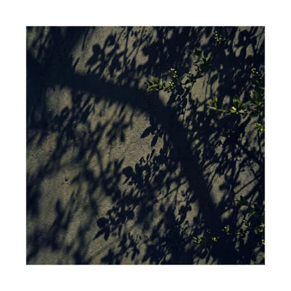 Shadow Play Moody Minimal Wall Art Print | Atmospheric Dark Japandi Art