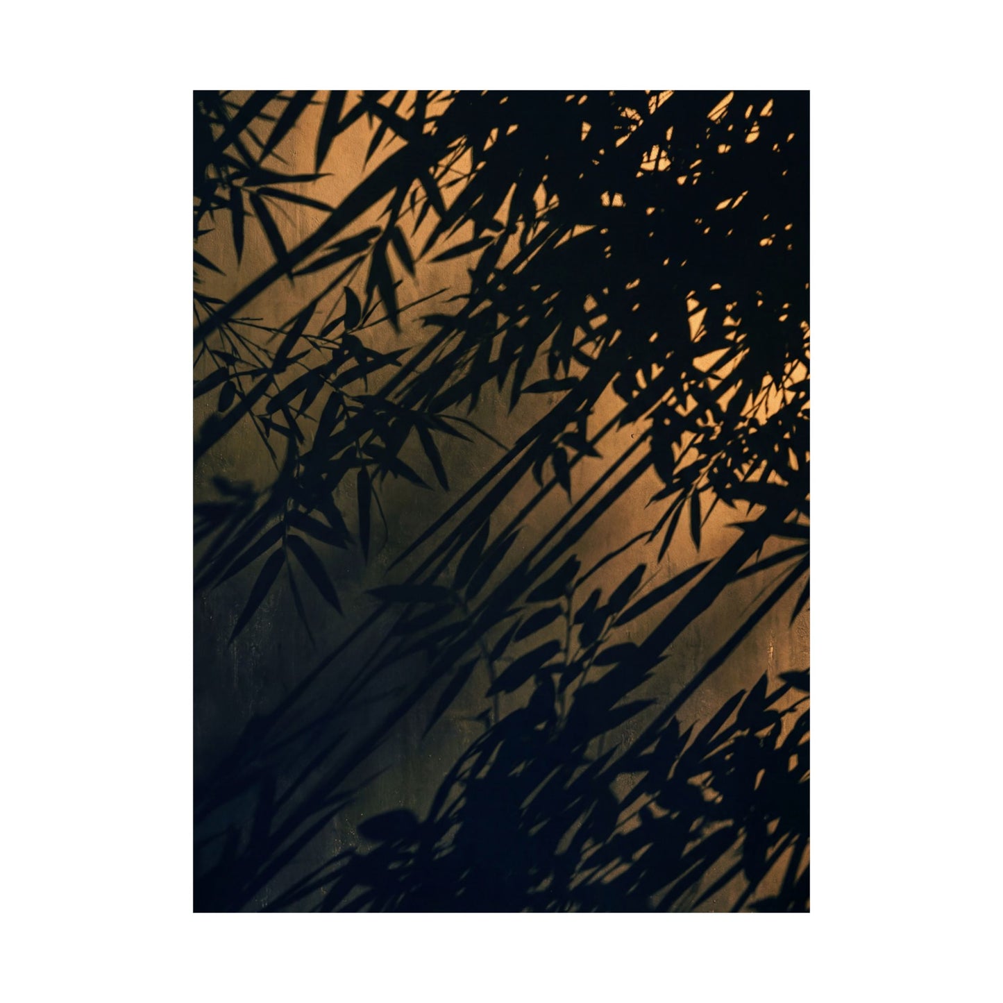 Summer Shadow Play Shadow Zen Wall Art Print | Luxurious Decor
