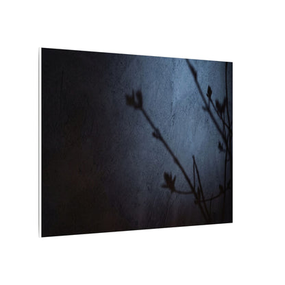 Shadow Play Canvas Art | Spring Dark Japandi Moody Minimal Art