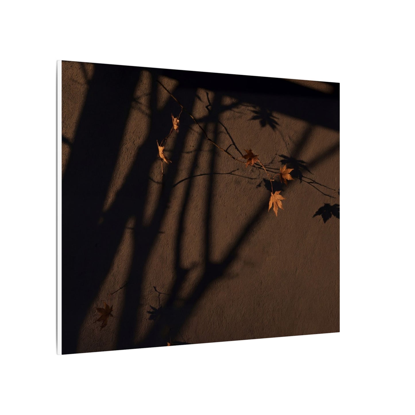 Shadow Play Autumn Canvas Art | Dark Japandi Luxurious Design