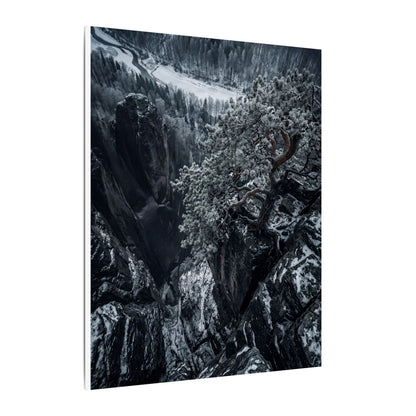 Dark Japandi Pine Tree in Dappled | Dark Texture Canvas Art