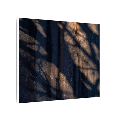 Dark Japandi Shadow Play in Golden Hour | Shadow Zen Canvas Art