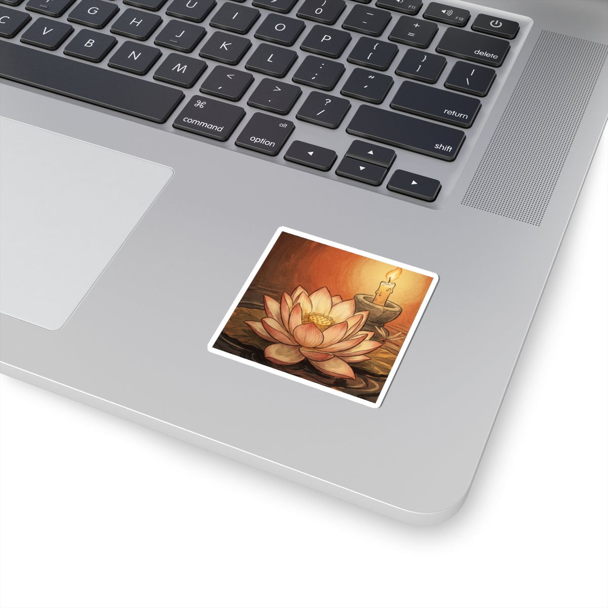 Fukinsei Dried Flowers Sticker - Japandi Texture