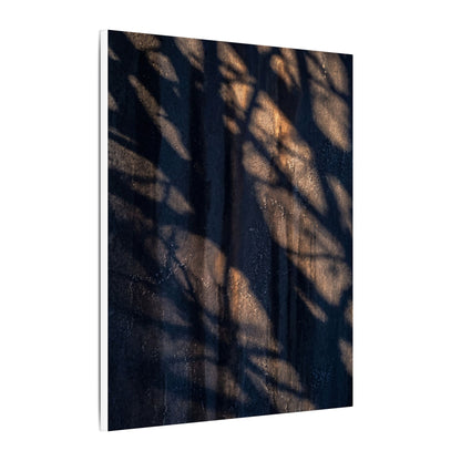 Dark Japandi Shadow Play in Golden Hour | Shadow Zen Canvas Art